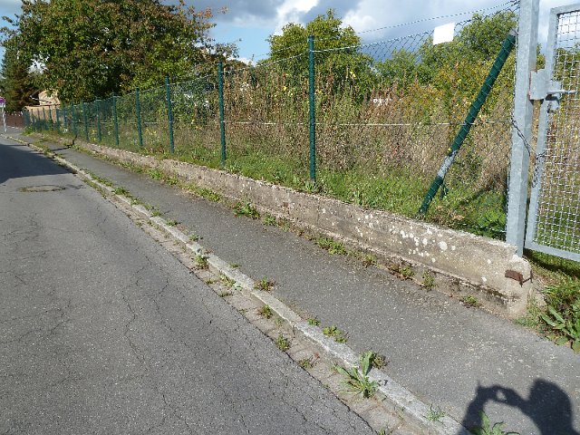 P1250589