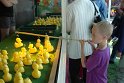 Img0066