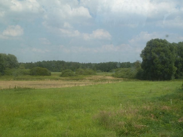 P1230953