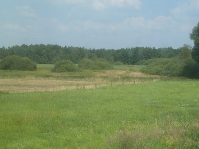 P1230954