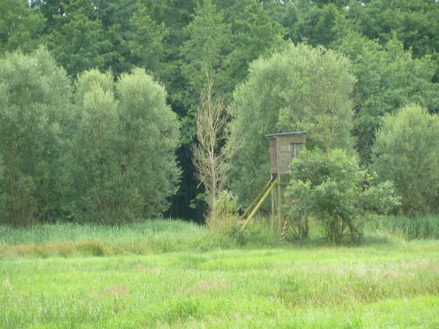 P1230734