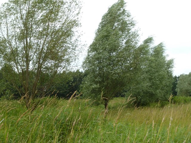 P1230744