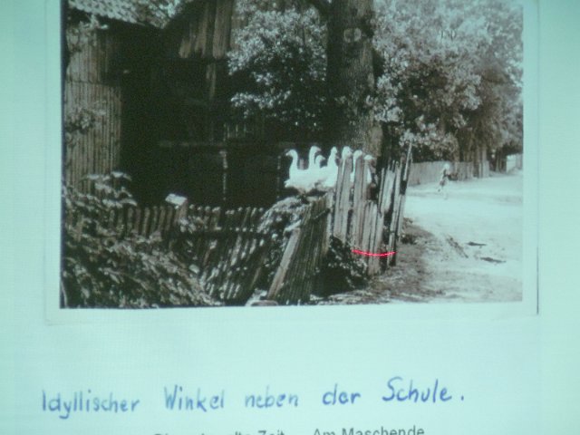 P1180980