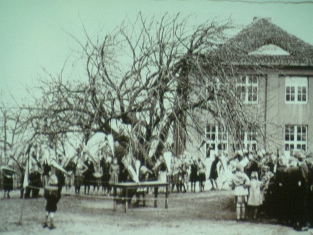 P1180993