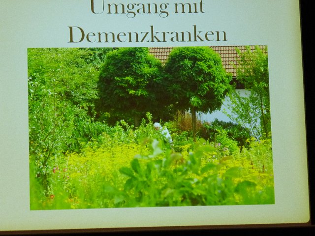 P1000168