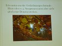P1000158
