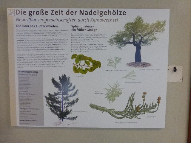 P1140493