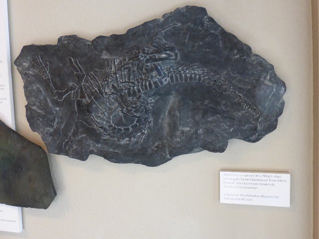 P1140495