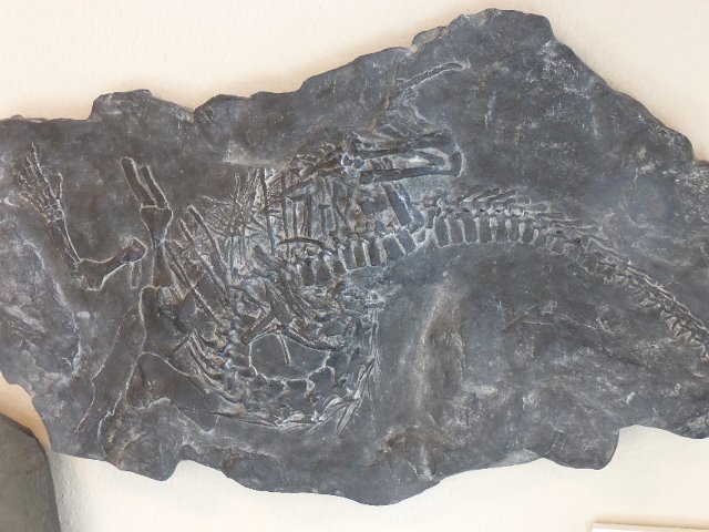 P1140496