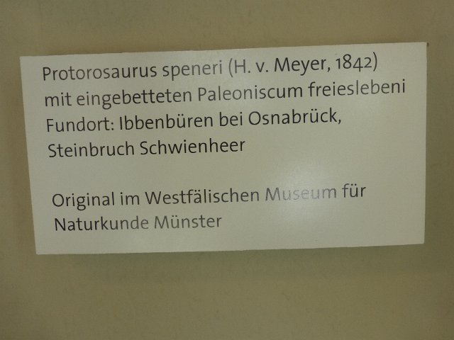P1140497