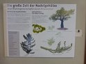 P1140493
