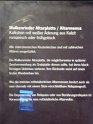 P1140317