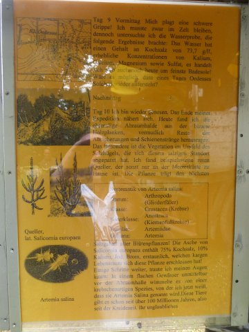 P1070552