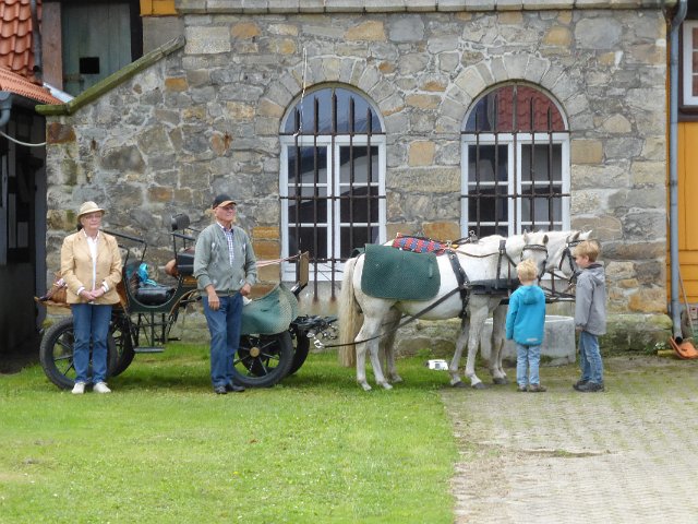 P1100004
