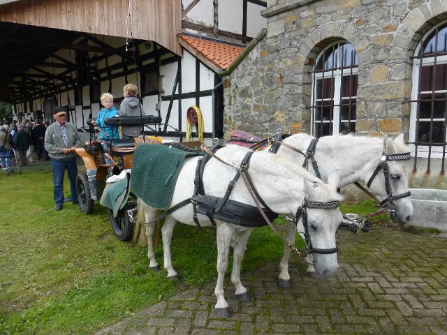 P1100027
