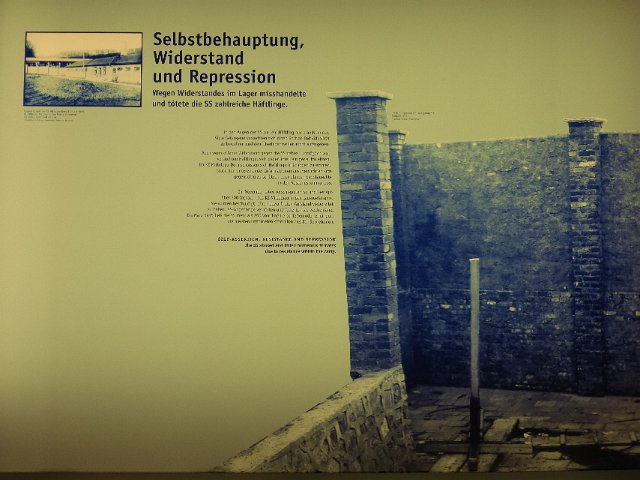 P1230397