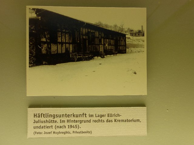 P1230517