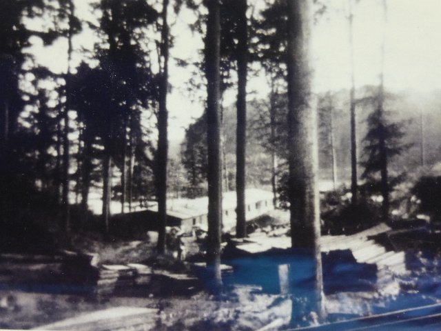 P1230550