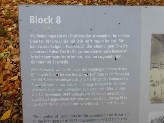 P1230651