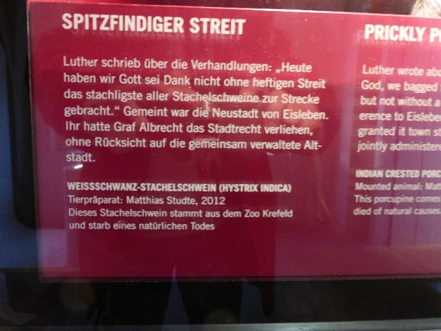 P1420589