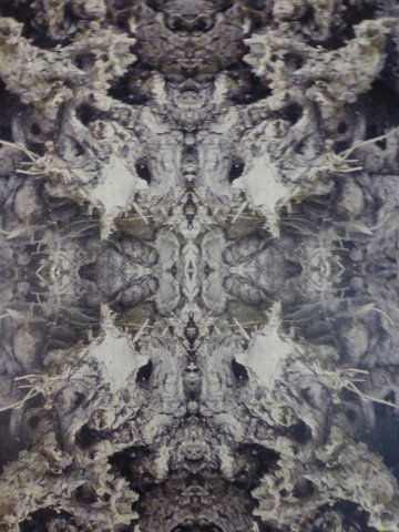 P1430263