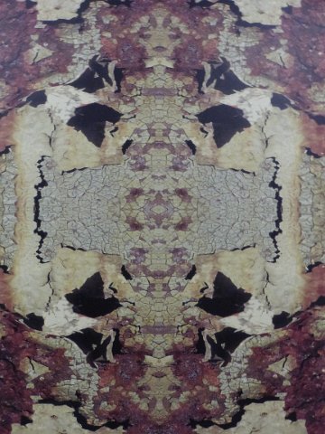 P1430267