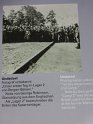 P1290079