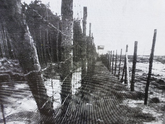 P1290453