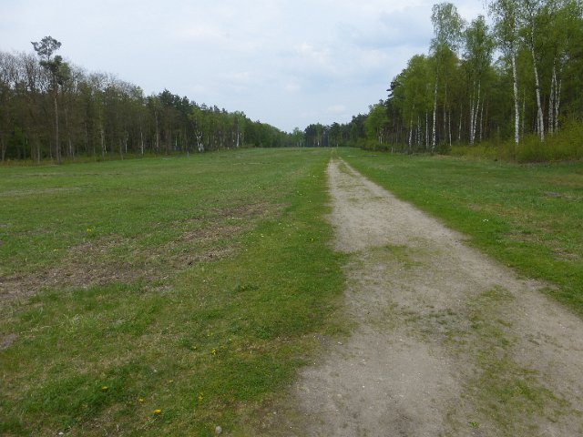 P1290462