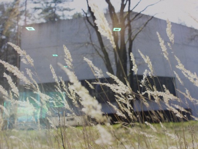 P1290554