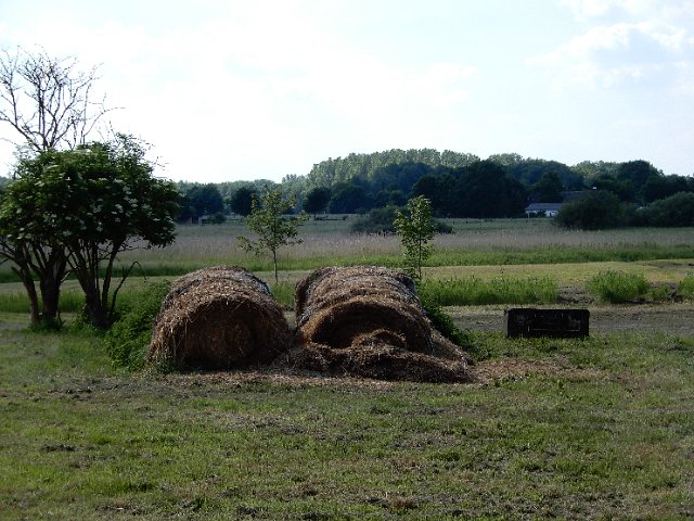 DSCN1554