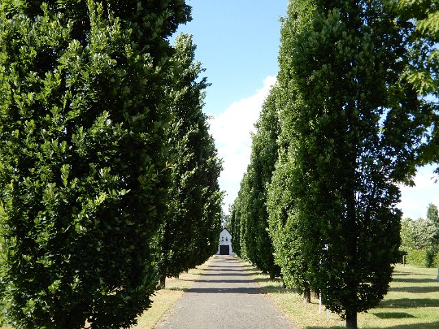 DSCN1560