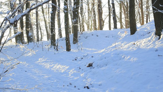 IMG_3400