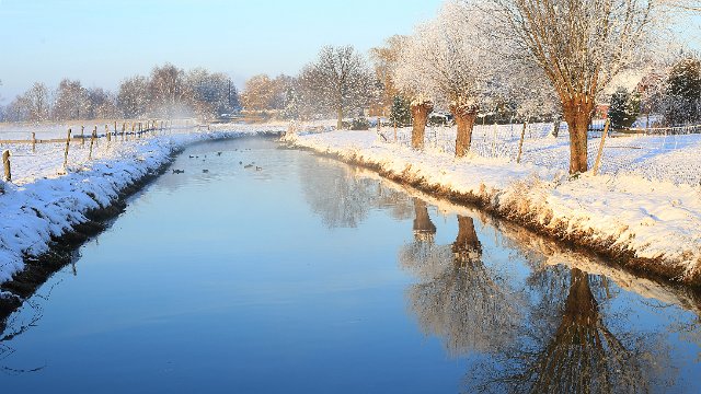 IMG_3452