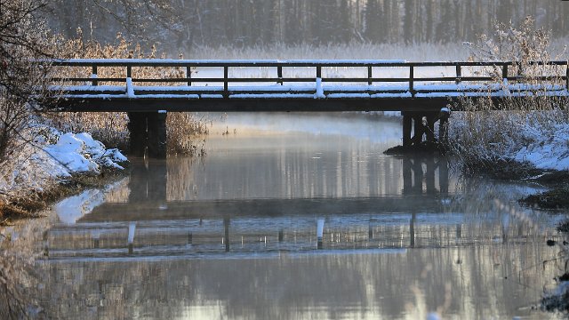 IMG_3464