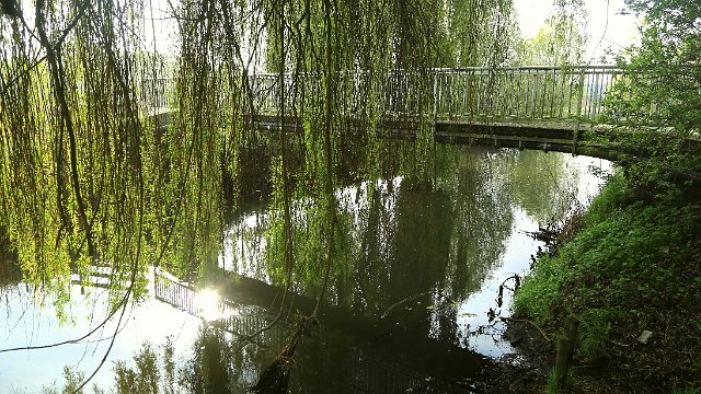 IMG_6664