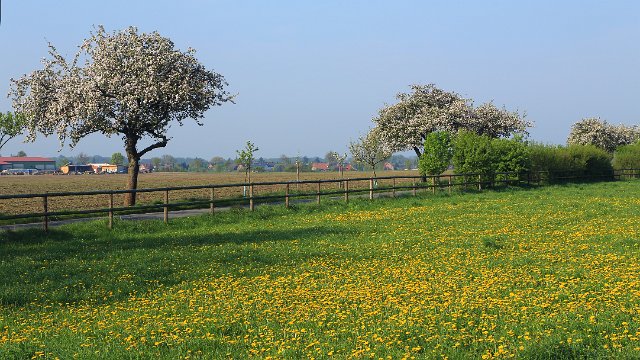 IMG_7267