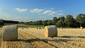 IMG_0626