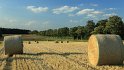 IMG_0628