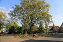 IMG_0667