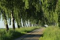 IMG_2471