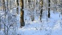 IMG_3396