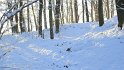 IMG_3400
