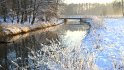 IMG_3457