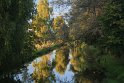 IMG_5254