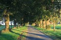 IMG_5264