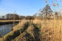 IMG_6036