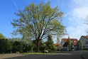 IMG_6613