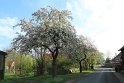 IMG_6624
