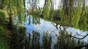 IMG_6653